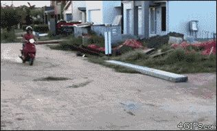 Так и остался в песке