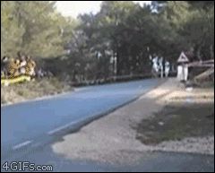 Дерево спасло жизнь человеку