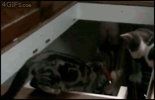 Столкнула вниз с лестницы