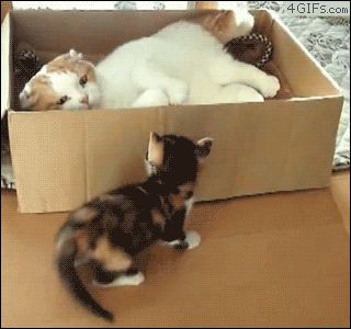Резкая атака из коробки