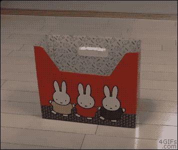 Не поместился в коробке