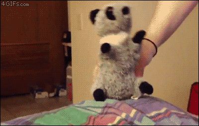 Любительница мягких игрушек