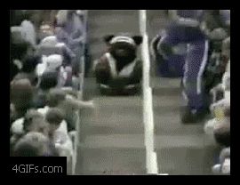 Медведь на доске