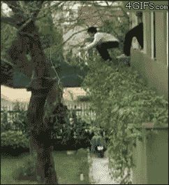 Неуклюжий прыжок на дерево