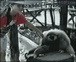 Почеши меня здесь