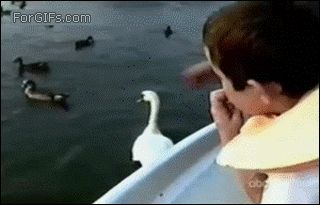 Выхватил печенье из рук