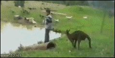 Сбросила в воду