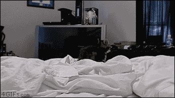 Крабовая походка