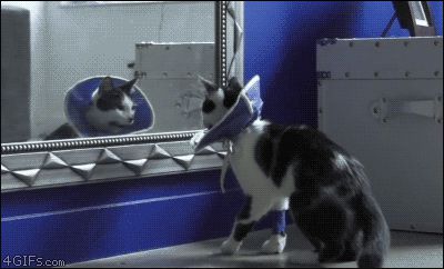 Опешила от своего отражения