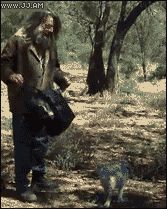 Как поймать кенгуру