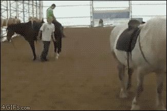 Лягнула обеими копытами в воздухе