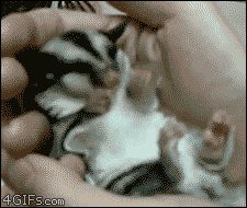 Кошмары во сне