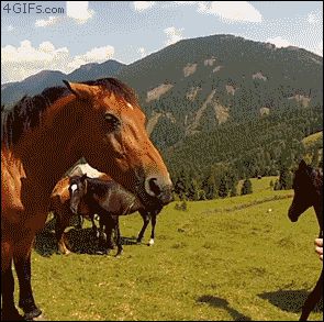 Неожиданно укусила за руку