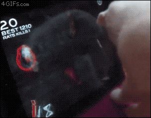 Игры для кошек