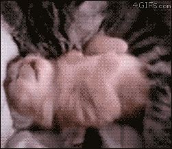 Обнимашки во сне