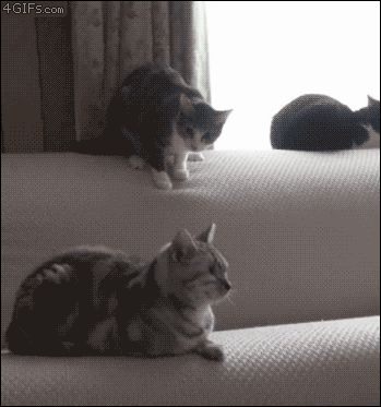 Прочь с моего места!