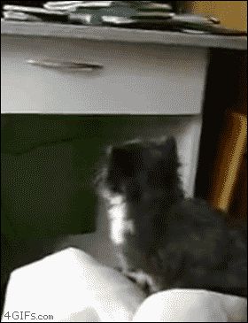 Милое падение