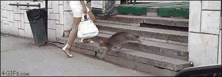 Ошеломляющий бросок