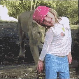 Неожиданная встреча