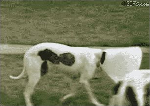 Монополистка