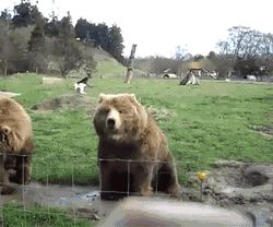 Привет из России!