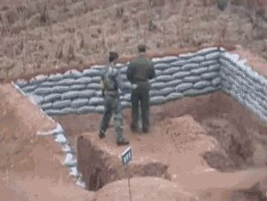 Промах года
