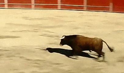 Прыжок через быка
