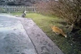 Разные цели