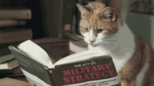 План завоевания
