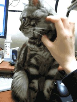 Я не могу тебя простить