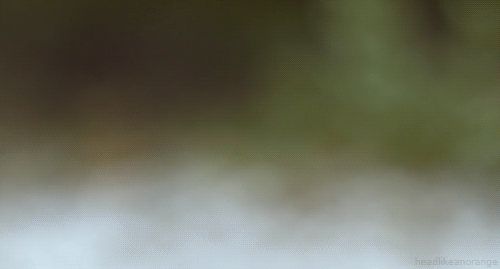 Цапля