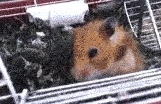 Позитивный кошмар