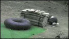 Приземлилась на голову