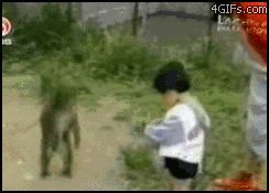 Обиженная обезьяна