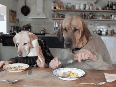 Обед на пару