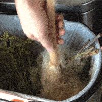 Свойства бамбука