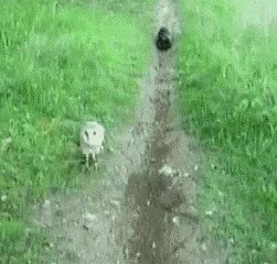 Дружеские шутки