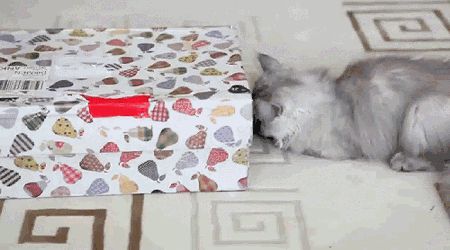 Тесный домик