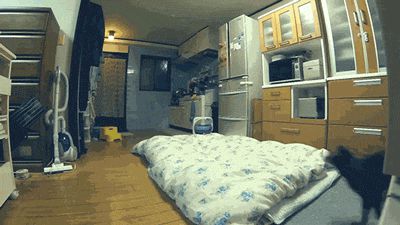 Великолепный прыжок