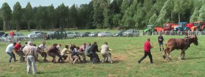 Лошадь и люди