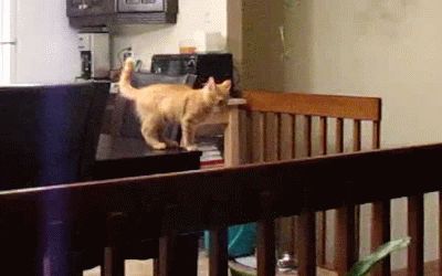 Неряшливое падение