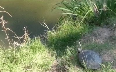 Эпичный прыжок в воду