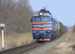 Собака - экстремака
