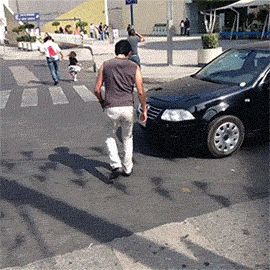 Тролинг водителя
