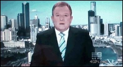 Большой голубь