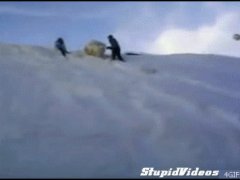 Снежный ком
