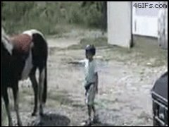 Удар копытом