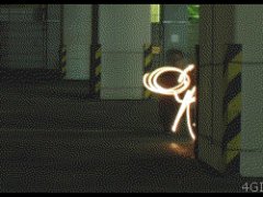 Собака из света