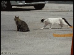 Подкралась незаметно