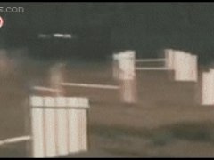 Собака знает короткий путь
